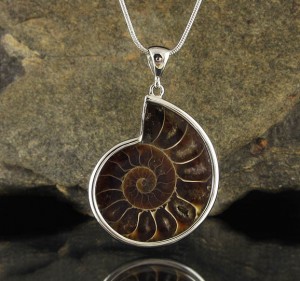 Ammonite Pendant Lge