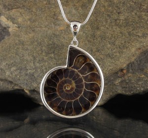 Ammonite Pendant Lge