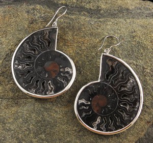 Ammonite Earrings XL