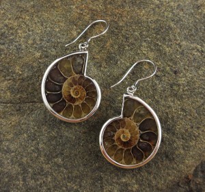 Ammonite Earrings