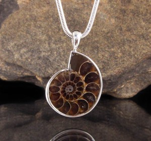 Ammonite Pendant Lge