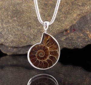 Ammonite Pendant Lge
