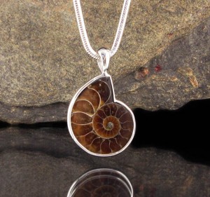 Ammonite Pendant Lge