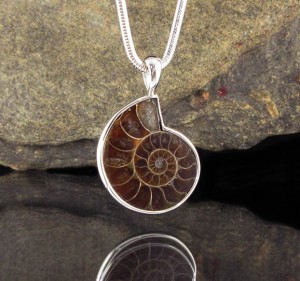 Ammonite Pendant Lge