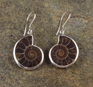 Ammonite Earrings