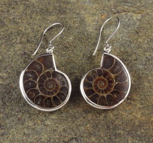 Ammonite Earrings