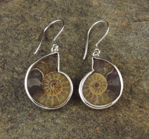 Ammonite Earrings