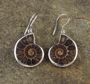 Ammonite Earrings