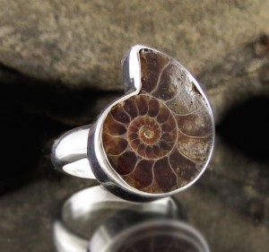 Ammonite Ring