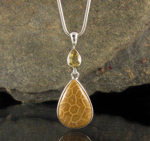 Fossil Coral & Citrine Pdt Lge