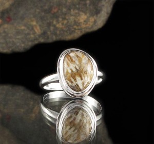 Fossil Coral Ring