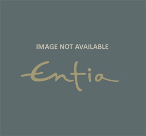 Raspberry Sapphire & Moldavite Pdt Med