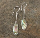 Paua Shell Earrings