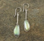 Paua Shell Earrings