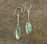 Paua Shell Earrings