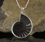 Ammonite Pendant XL