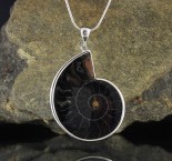 Ammonite Pendant XL