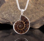 Ammonite Pendant Lge