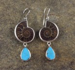 Ammonite & Arizona Turquoise Earrings