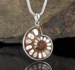 Ammonite with Mother of Pearl Inlay Pdt Lge