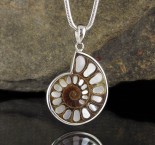 Ammonite with Mother of Pearl Inlay Pdt Lge