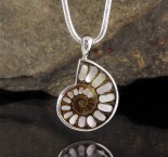 Ammonite with Mother of Pearl Inlay Pdt Med