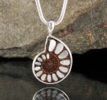 Ammonite with Mother of Pearl Inlay Pdt Med