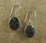 Black Fossil Coral Earrings