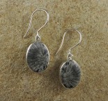 Black Fossil Coral Earrings