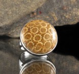 Fossil Coral Ring