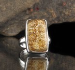 Fossil Coral Ring