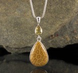 Fossil Coral & Citrine Pdt Lge