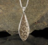 Fossil Coral Pendant Lge