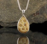 Fossil Coral Pendant Med