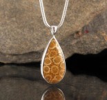 Fossil Coral Pendant Sml