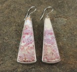 Ocean Jasper Earrings