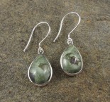 Rainforest Rhyolite Earrings