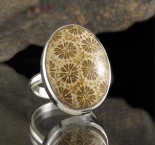 Fossil Coral Ring