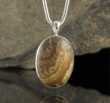 Picture Jasper Pdt Med