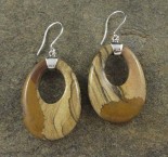 Picture Jasper Earrings