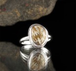 Fossil Coral Ring