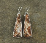 Ocean Jasper Earrings
