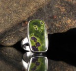 Stichtite in Serpentine Ring