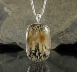 Dendritic Tiger Agate Pdt Lge