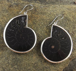 SALE Ammonite Earrings XL