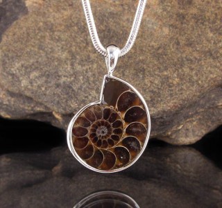 Ammonite Pendant Lge