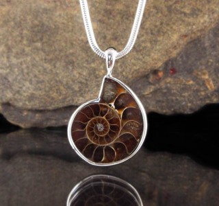 Ammonite Pendant Lge