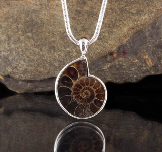 Ammonite Pendant Lge