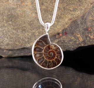 Ammonite Pendant Lge