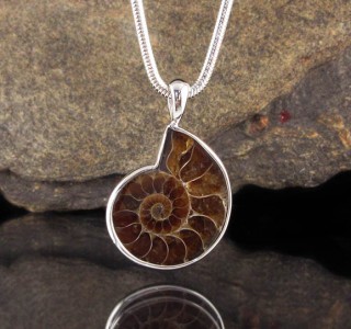 Ammonite Pendant Lge